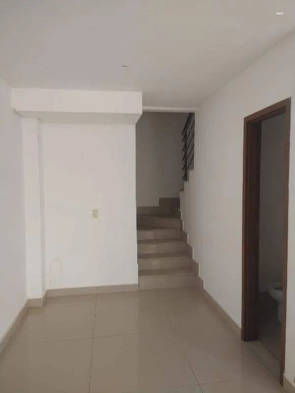 Imagem 4