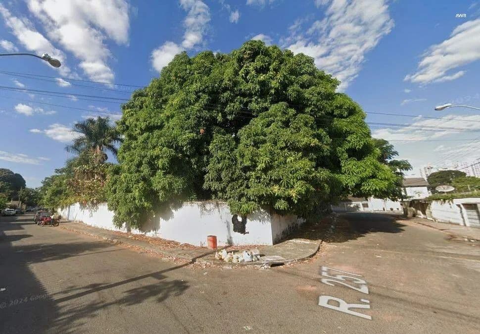 Imagem 5