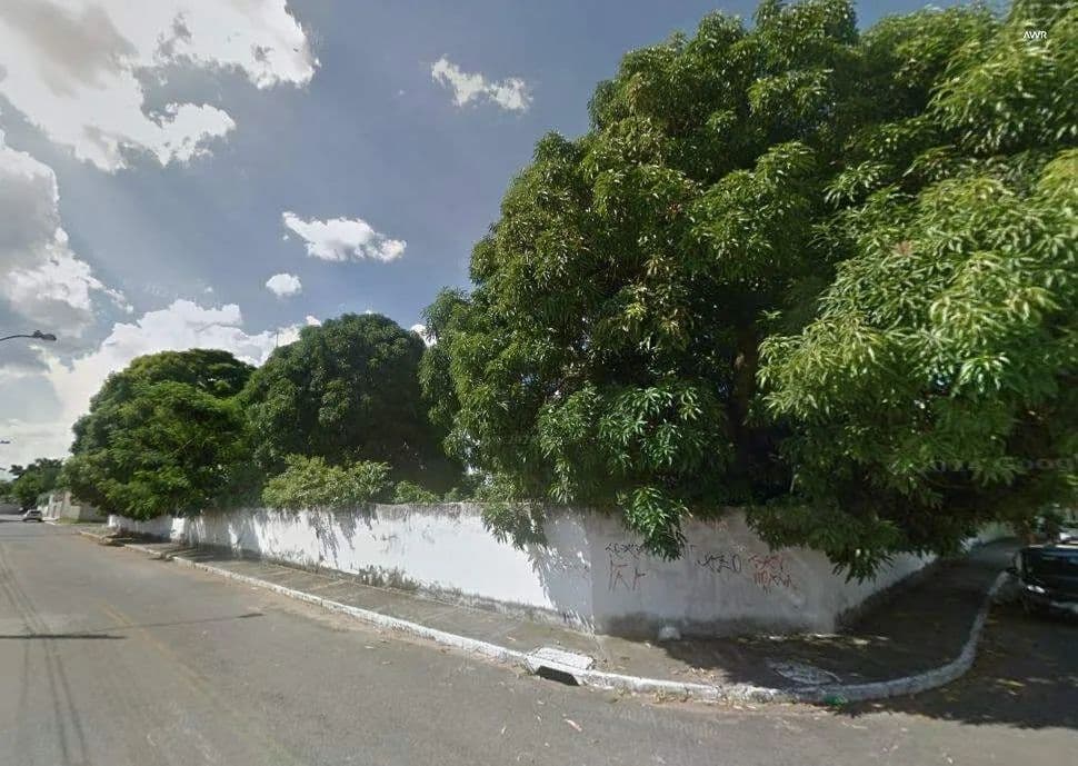 Imagem 3